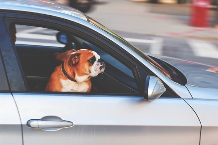 Getting a Title Loan while Paying Off Your Car