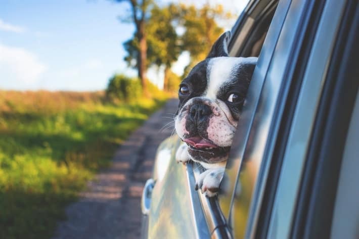 Advantages of Car Title Loans