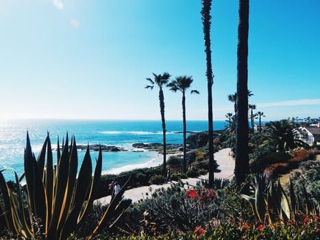 One Day Road Trips from Los Angeles