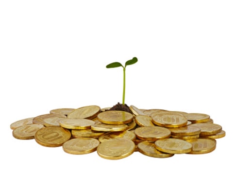 Car Title Loans & Your Interest Rate