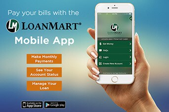 LoanMart leading financial tech company 