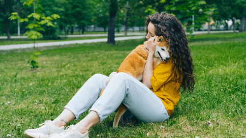 emergency vet loan