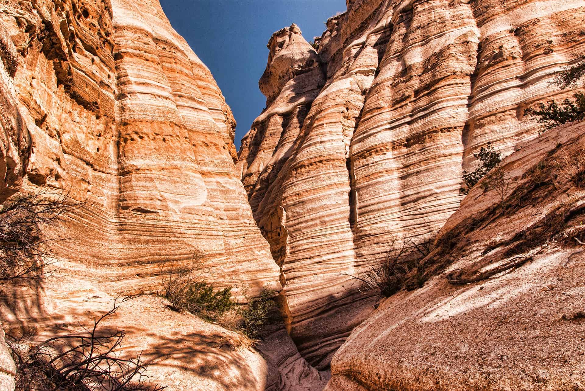 Alternative to Payday Loan in New Mexico