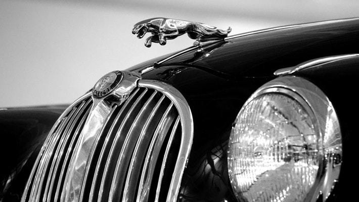 Value in Your Luxury Auto Collection