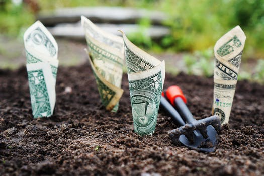 Title Loan Companies with Great Service