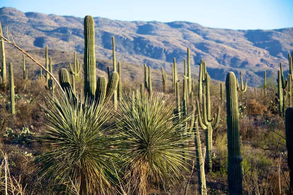 What are the best possible loans in Tuscon?