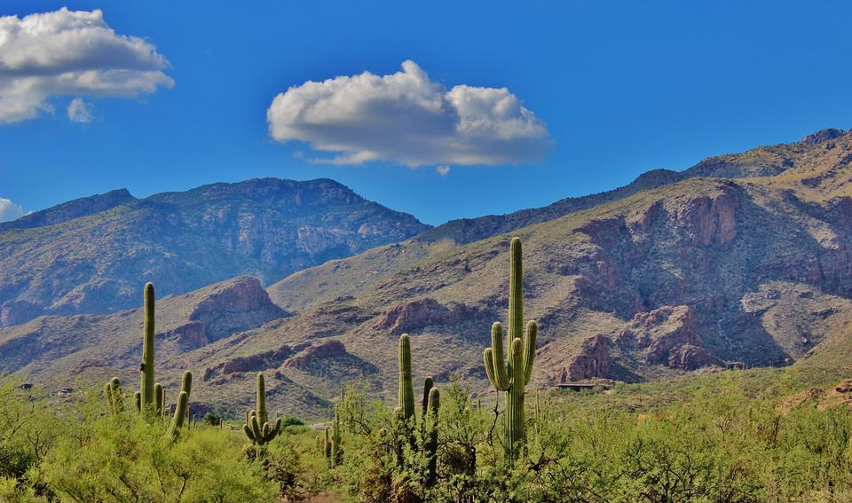 Loans now in Tucson