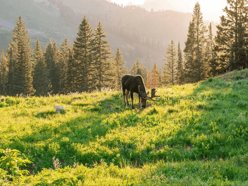 Online title loans in West Jordan, Utah