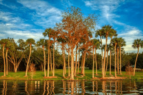 Title loans in Brandon, Florida