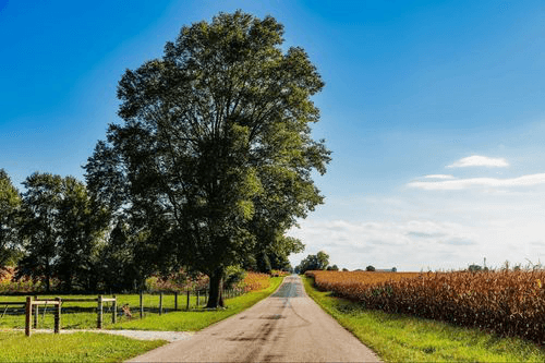 Car title loans in Muncie, IN