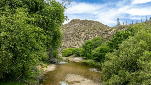 Title loans in Queen Creek, Arizona