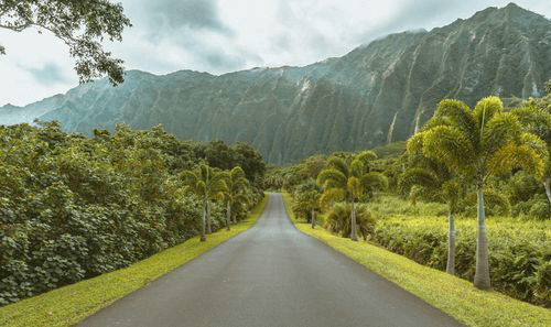 title loans in Pearl City, Hawaii