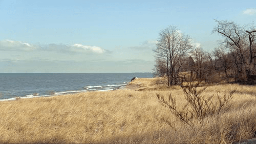 Title Loans in Greenwood, Indiana