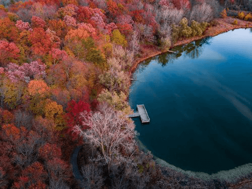 Title loans in Livonia, Michigan