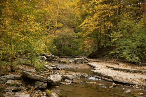 emergency cash title loans in Terre Haute