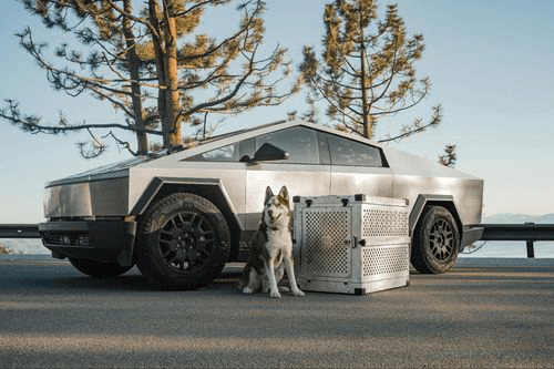 EV title loans