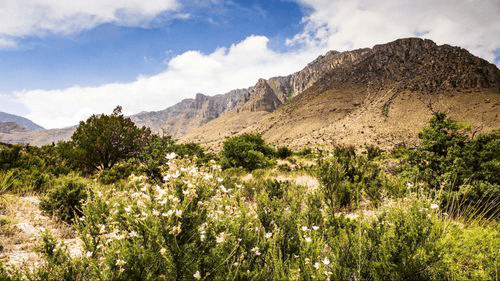 Title loans in New Braunfels, Texas