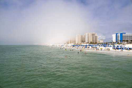 Title loan services in Clearwater, Florida – fast cash options for car owners