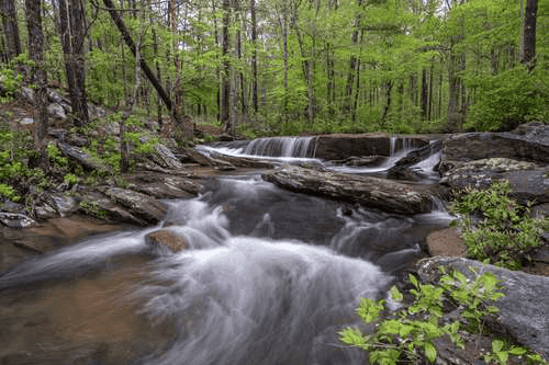flexible title loan qualification options for borrowers in Oxford Alabama