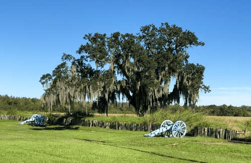 Customer guidance available throughout the title loan process in Chalmette Louisiana